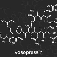 Vasopressin/Antidiuretic Hormone: Structure, Crucial Functions And Adverse Effects