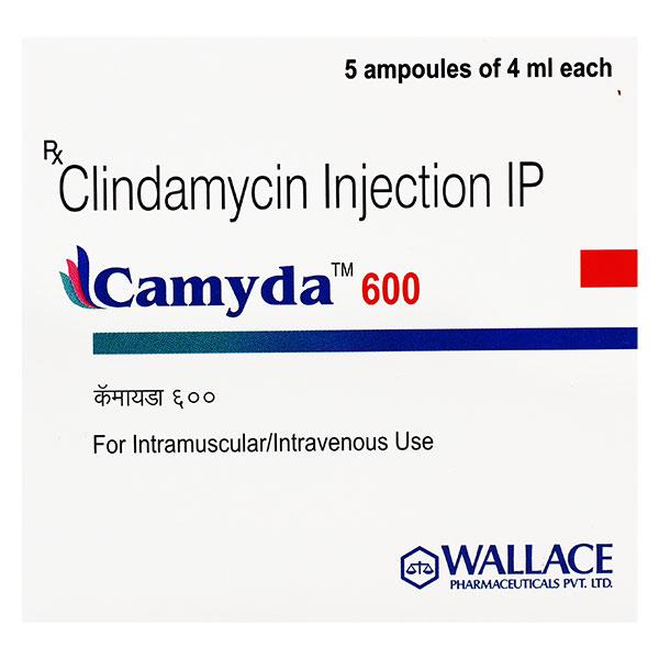 Camyda 600mg Injection 4ml Price, Uses, Side effects, Substitutes | Netmeds