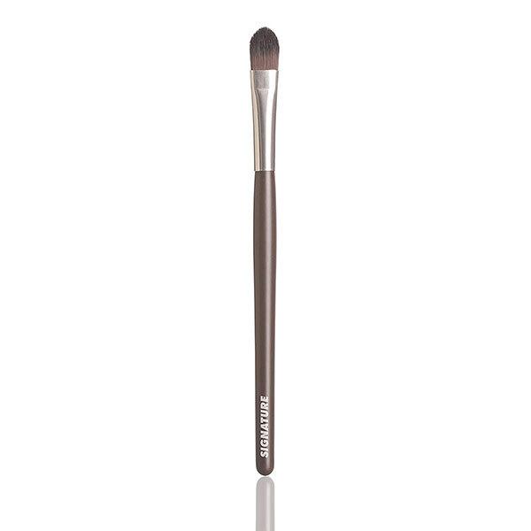 Buy Basicare SIGNATURE POINTED SHADING BRUSH 1's Online at Discounted ...