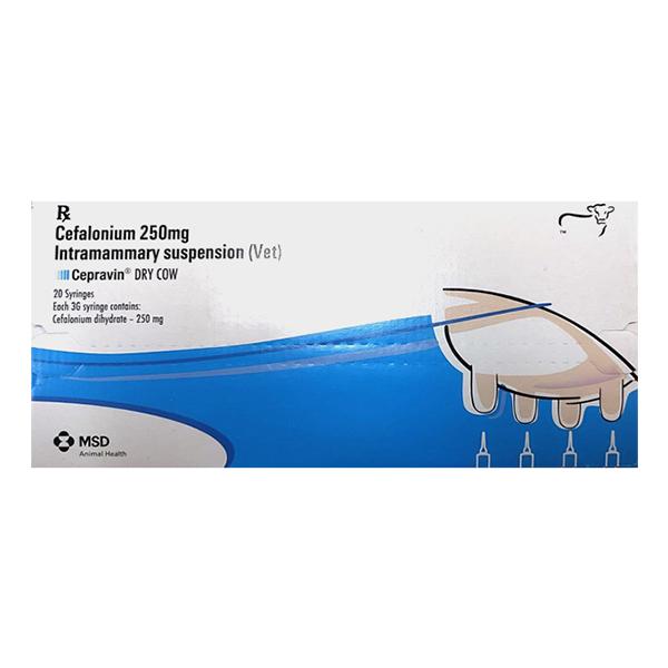 CEPRAVIN DRY COW (VET) Syringes 3g Price, Uses, Side effects ...