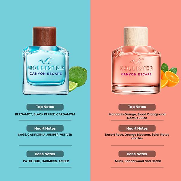 Hollister Cologne Hollister Canyon Escape Hollister After Shave