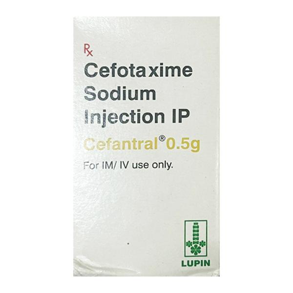 Cefantral 0.5gm Injection 1's : Price, Uses, Side Effects | Netmeds