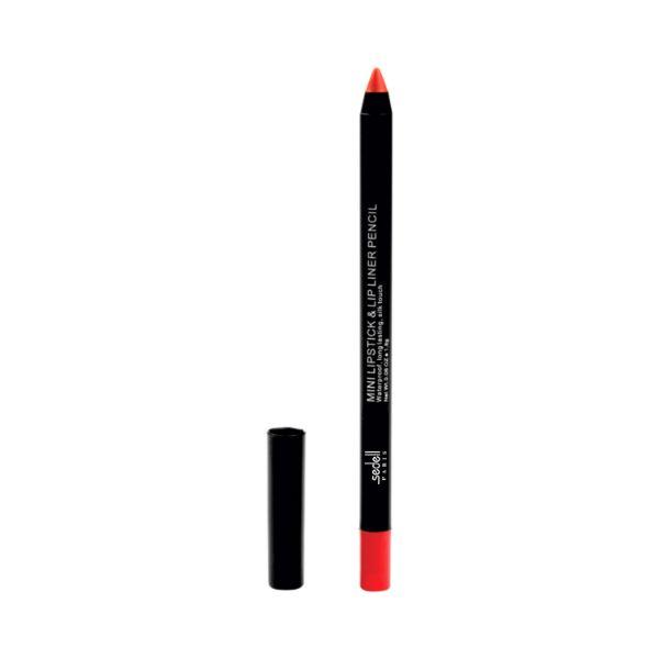 Buy Sedell Professional Mini Lipstick and Lip Liner Pencil 05 Shade 1.8 ...