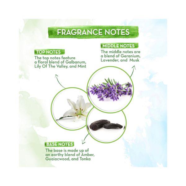 Buy Mamaearth ME White Musk Eau De Parfum 50ml Online at