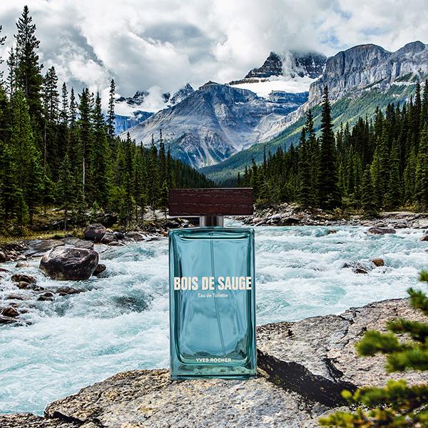 Buy Yves Rocher Bois De Sauge Eau De Toilette 100 ml Online at