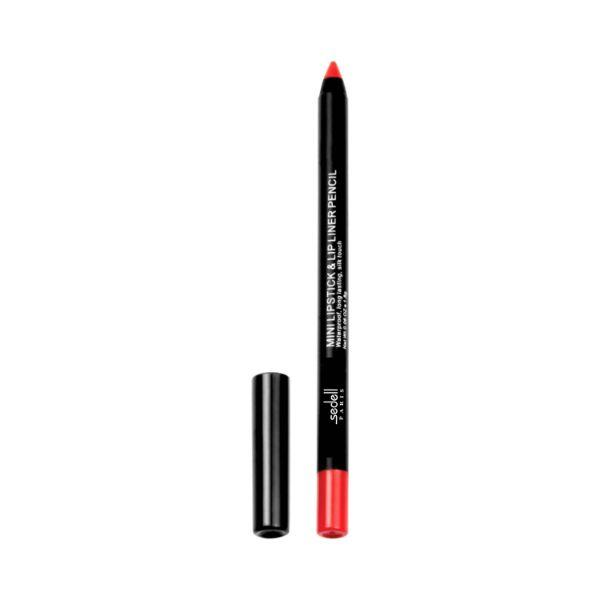 Buy Sedell Professional Mini Lipstick and Lip Liner Pencil 06 Shade 1.8 ...