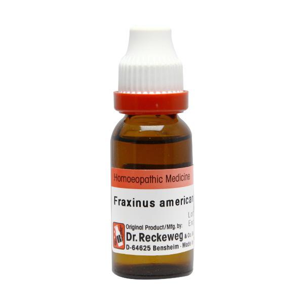 Dr. Reckeweg Fraxinus Amer Ø Liquid 20ml: Homeopathic Women's Health ...