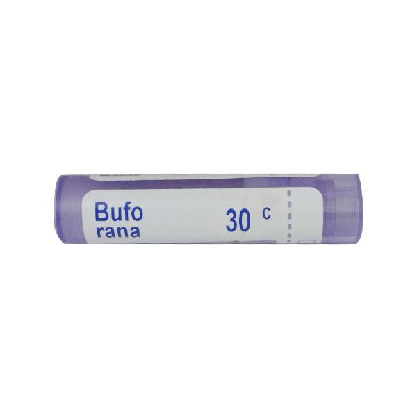 Buy Boiron Bufo Rana 30C Multi Dose PELLETS 4 GM Online at Discounted ...