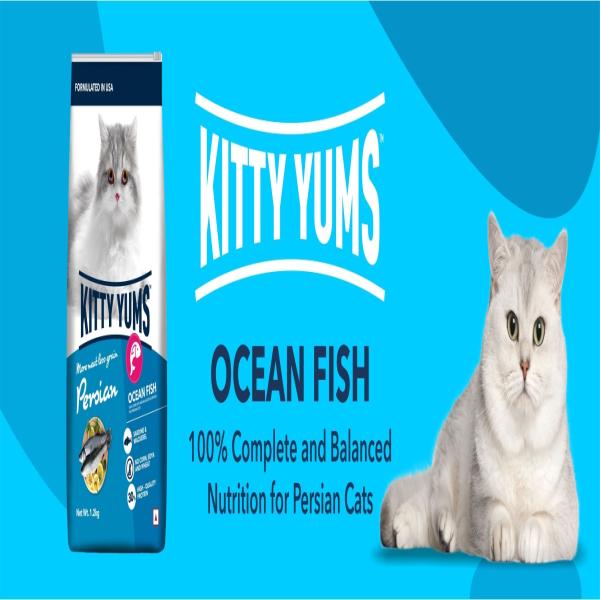 Buy Kitty Yums Dry Persian Cat Food, Ocean Fish 3000 gm Online at