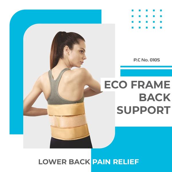 Vissco Eco Frame Back Support (XL) 1's Online at Best Price - Supports ...