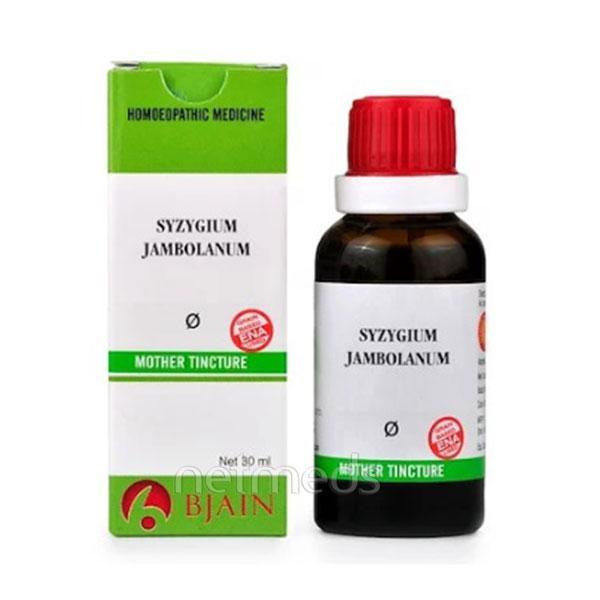 Buy Bjain Syzygium Jambolanum Mother Tincture 100 ML Online at ...