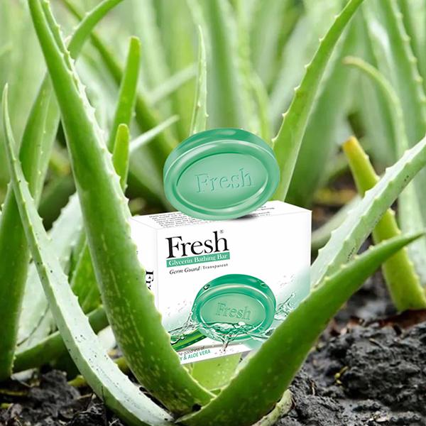 Fresh Glycerin All Weather Bathing Bar - Honey and Aloe Vera 75 gm Online  at Best Price - Soaps