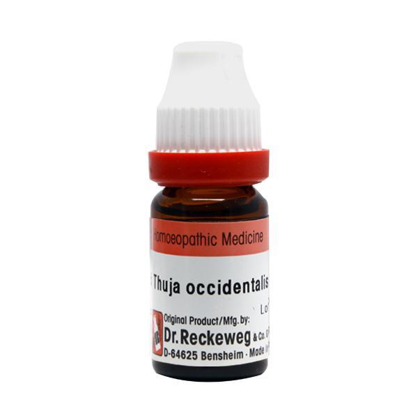 Dr. Reckeweg Thuja Occidentalis 30 Liquid 11 ml online at best price- Homeopathy
