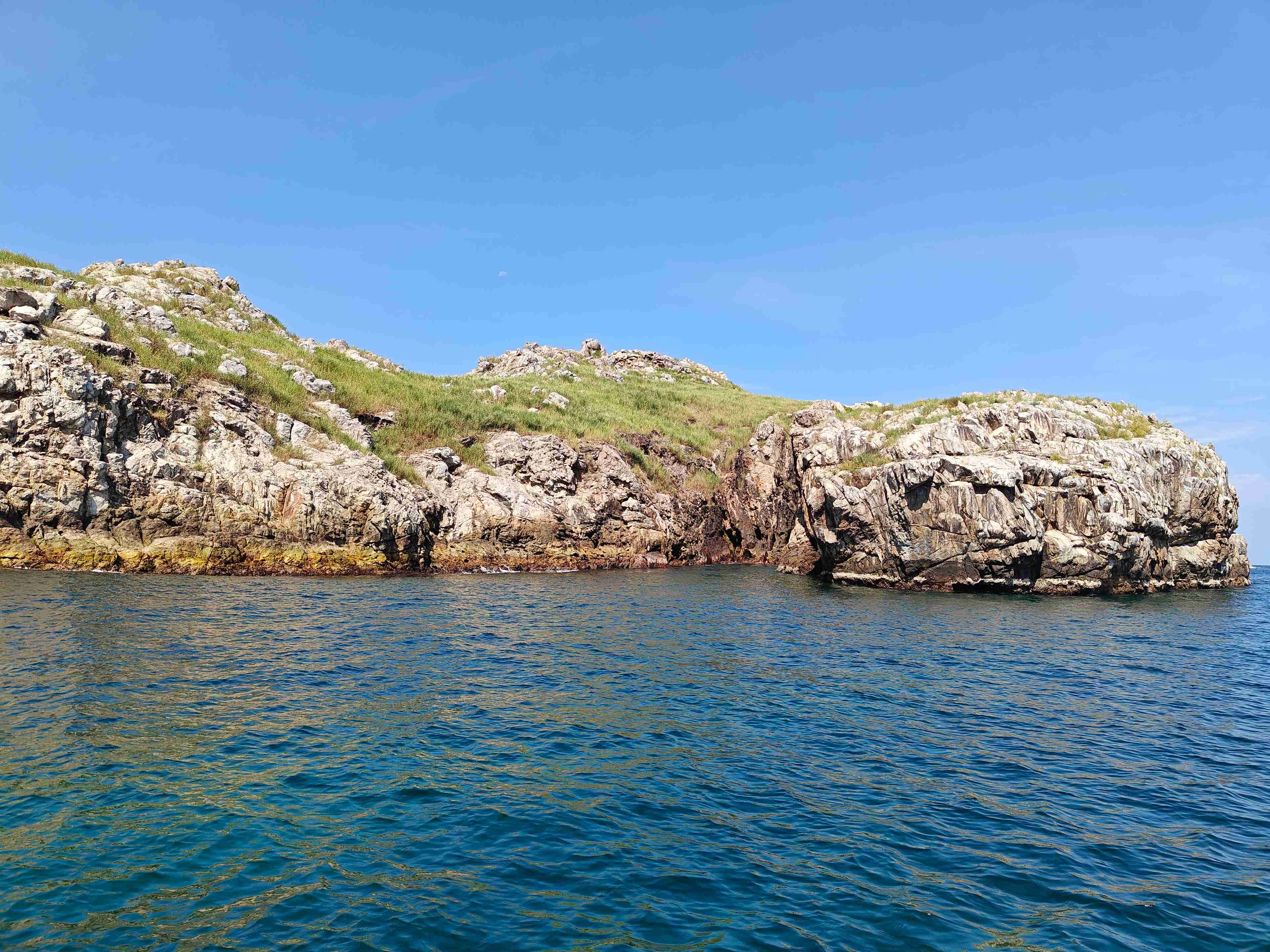 Professional Training Setup