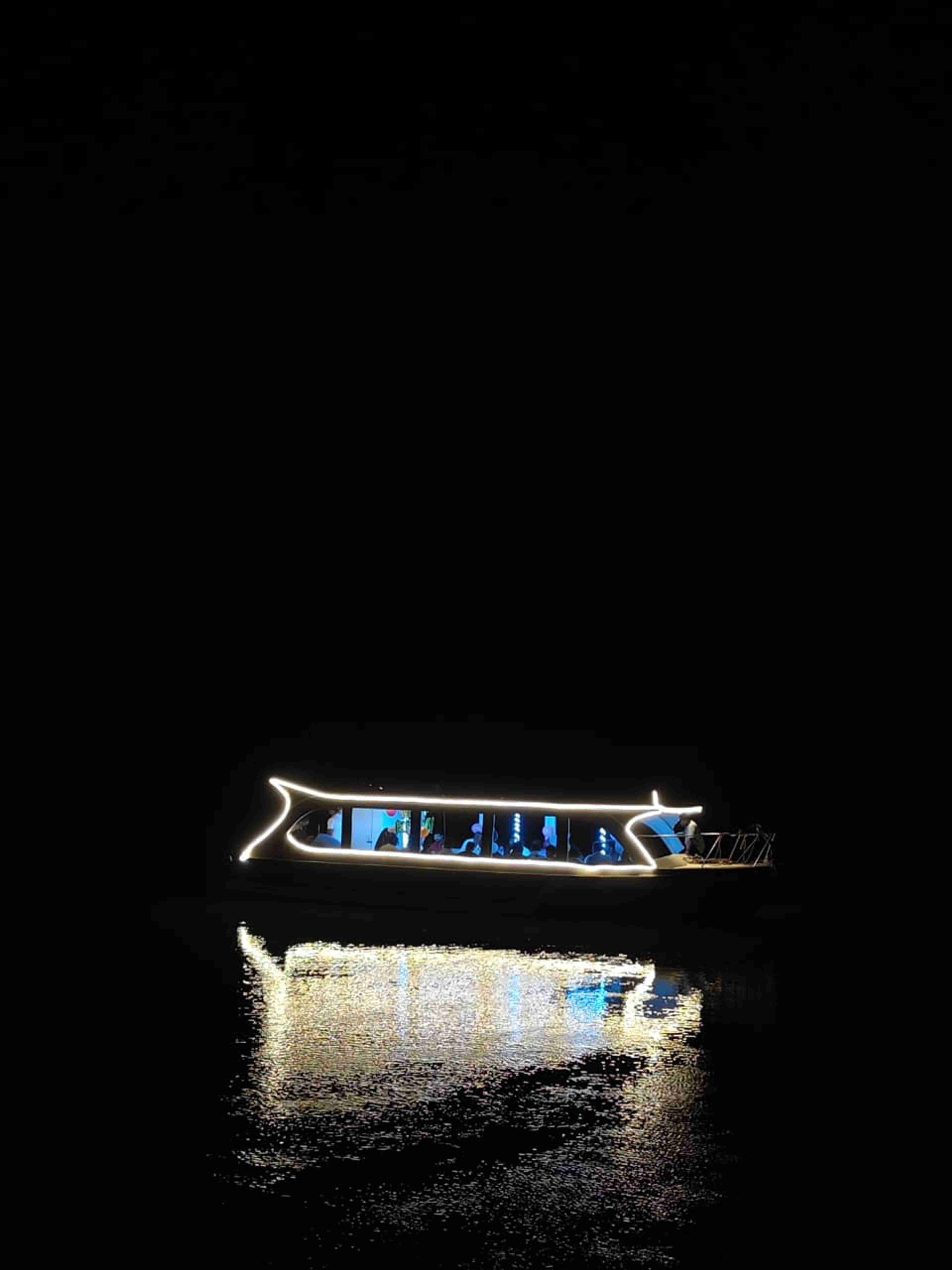 Night Safari experience