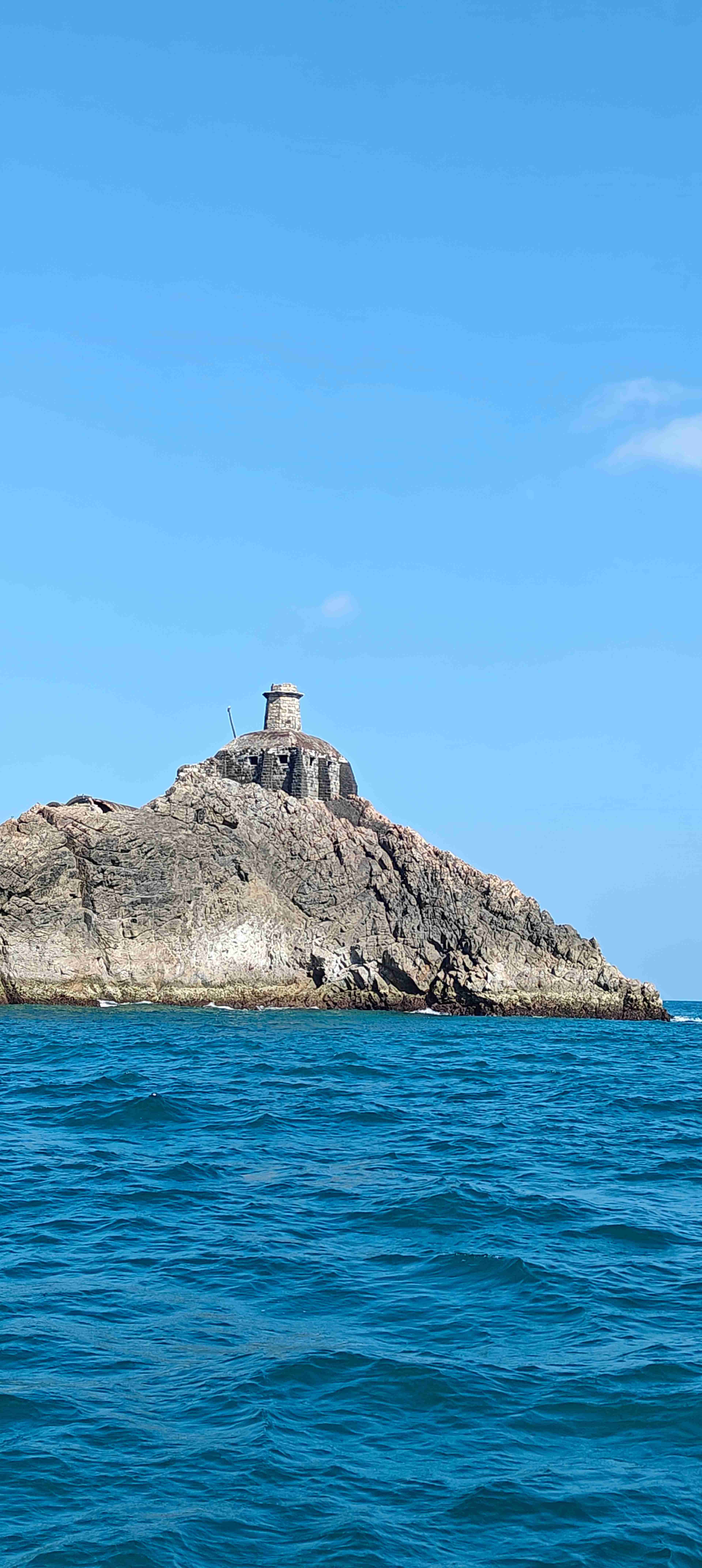 Nocturnal Marine Life