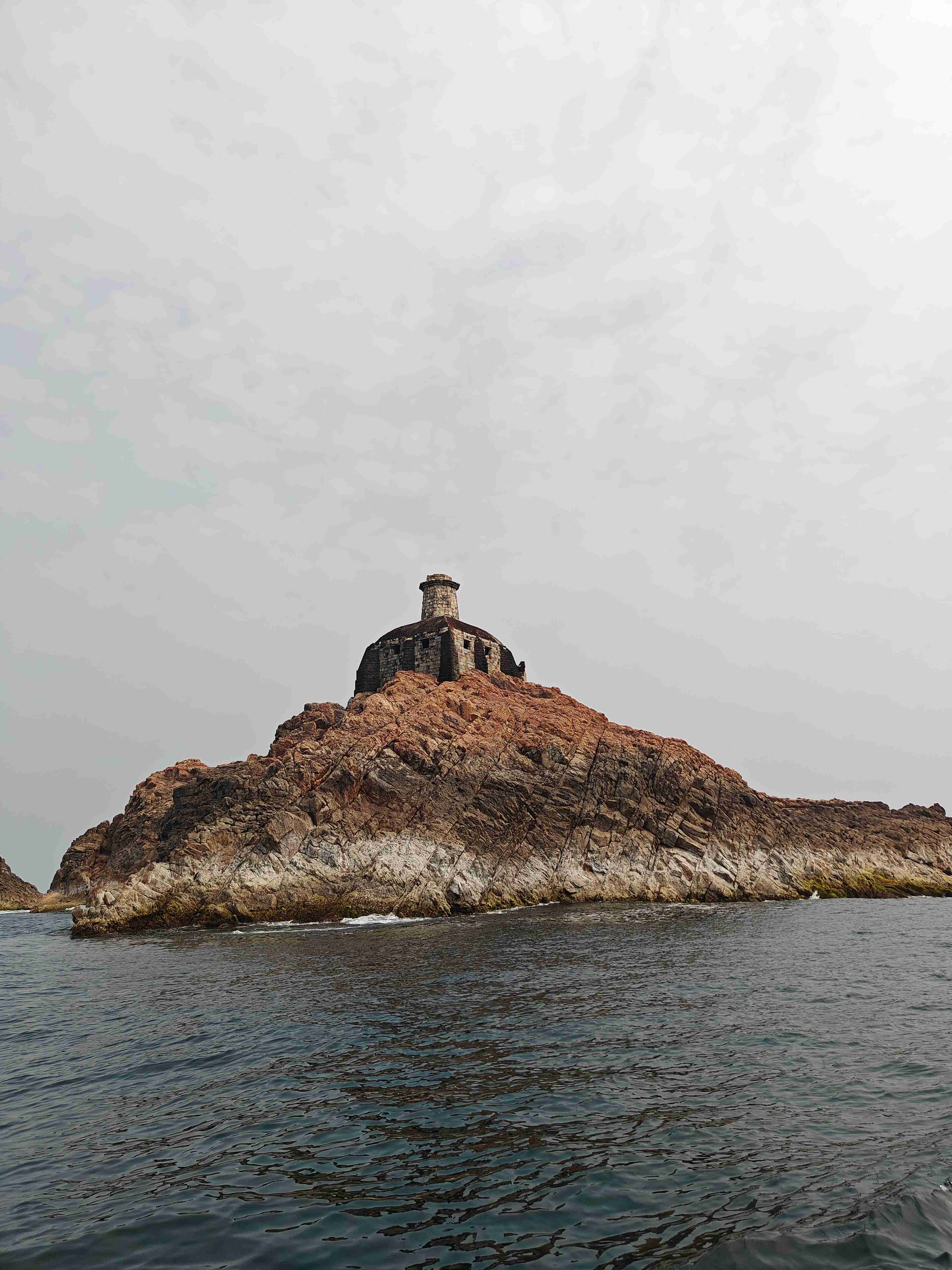 Wildlife Spotting at Night