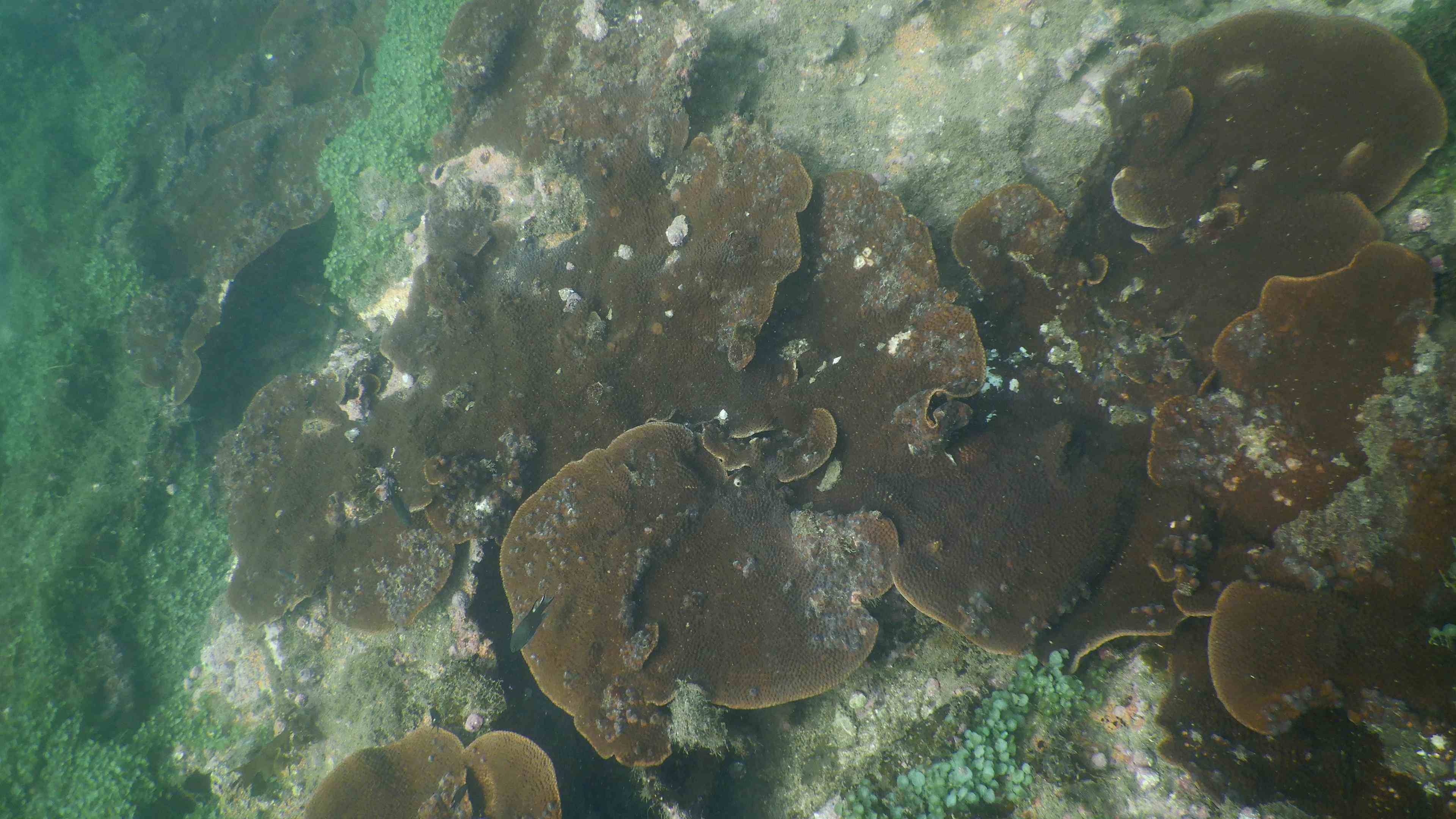 Underwater Exploration