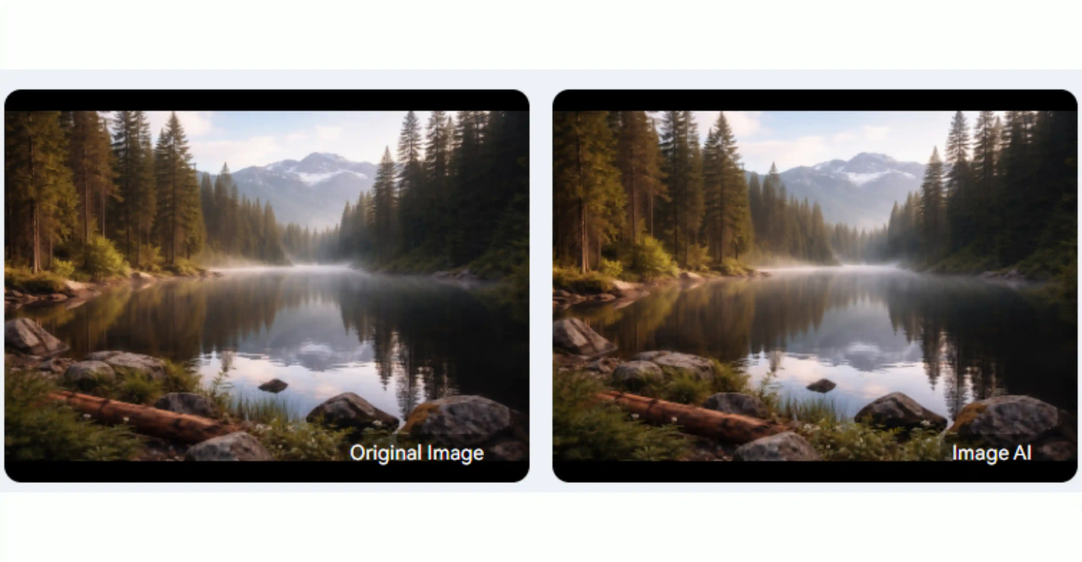 Responsive Image