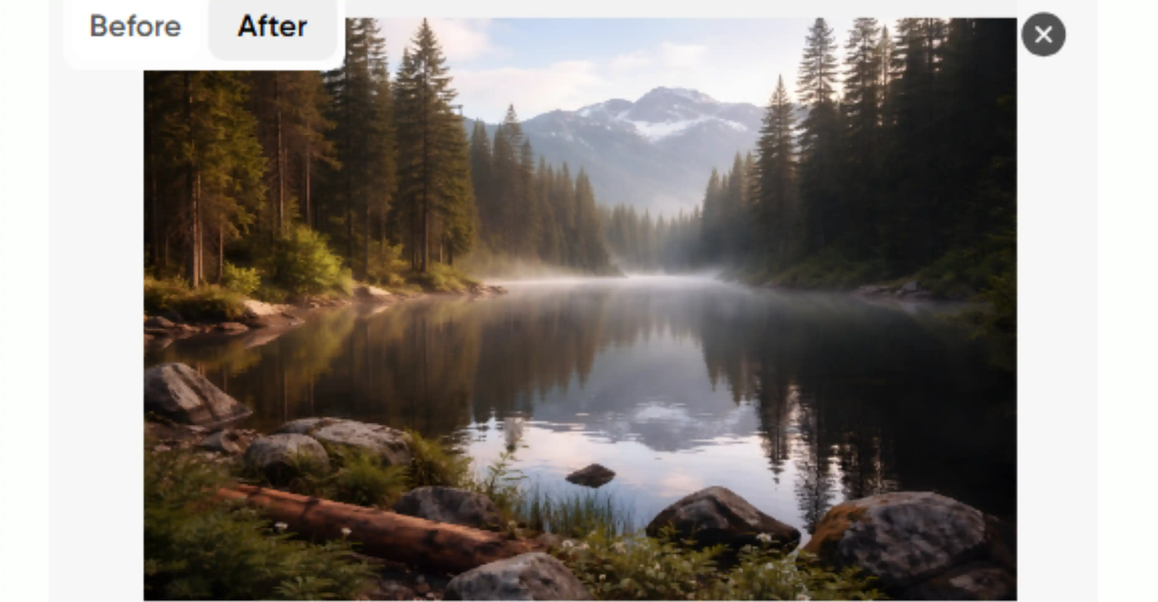 Responsive Image