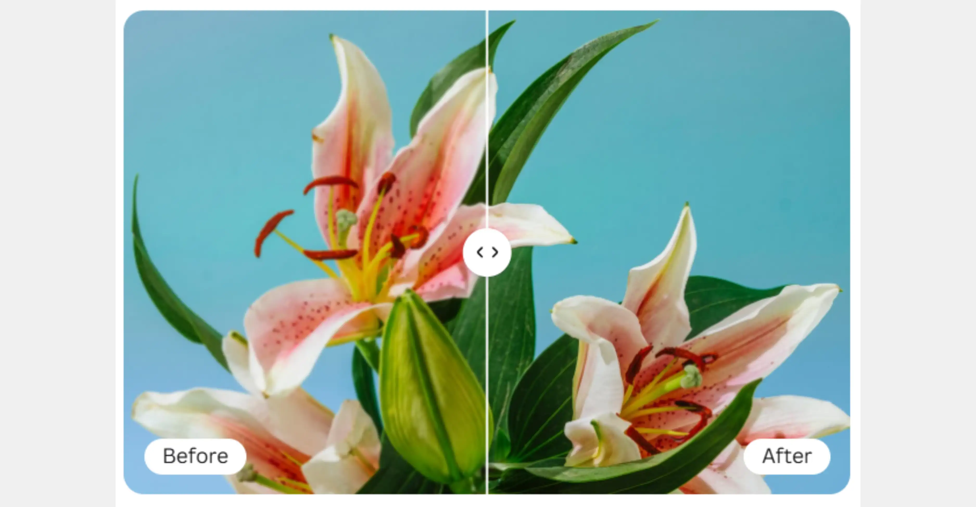 Responsive Image